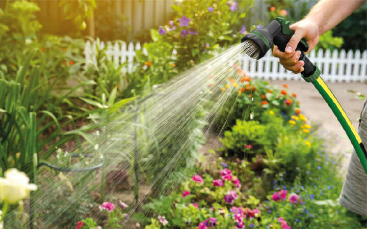 gartenbewaesserung gaertnerglueck wasserschlauch beete 800x500